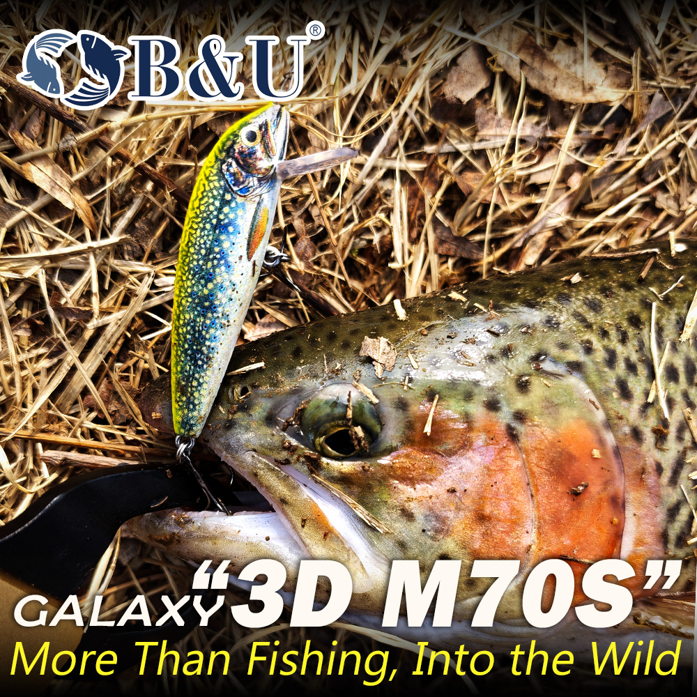 B&U Fishing Lures Sinking Minn - Fishing Hook Treble 리뷰 및 가격