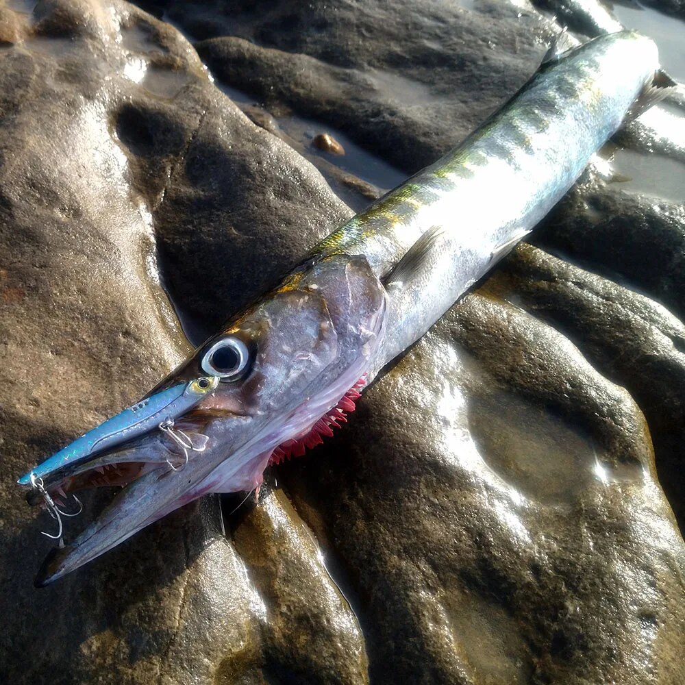 GOBAIT VIB Fishing Lure 20g 25 - Fishing Hook Treble 리뷰 및 가격