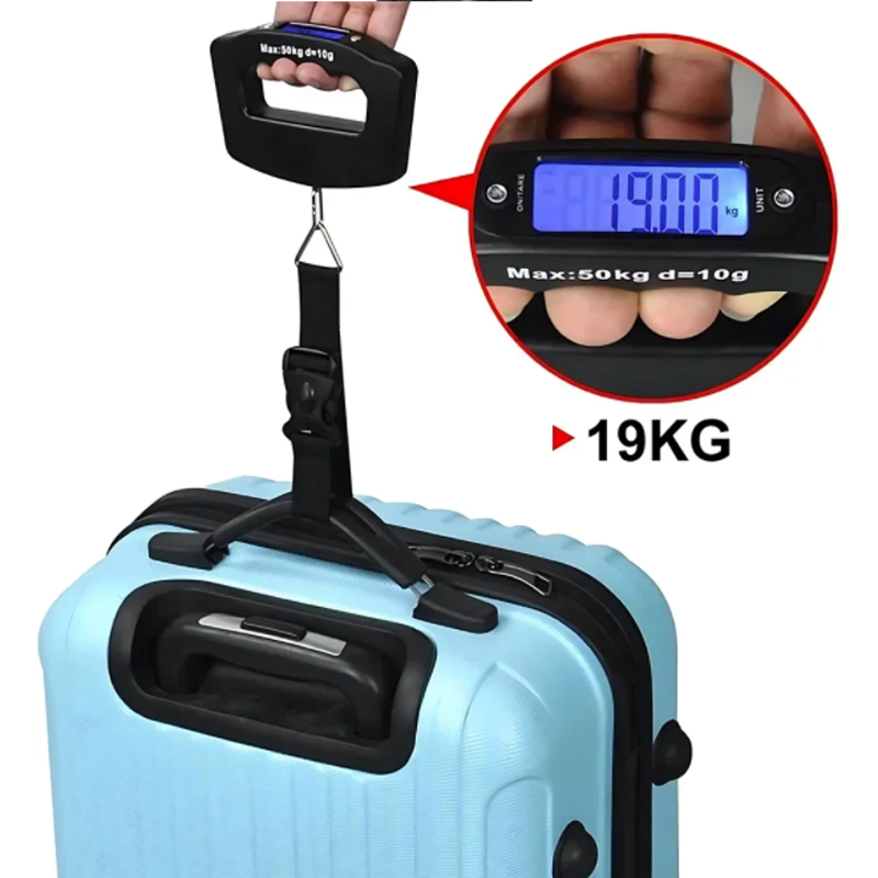 50kg/10g Travel Luggage Scale  - Fishing Hook 리뷰 및 가격